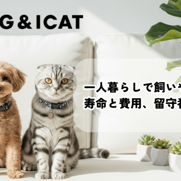 一人暮らしで飼いやすいペット10種｜寿命と費用、留守番の目安は？