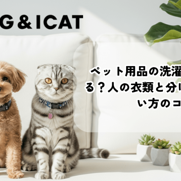 ペット用品の洗濯はどうしてる？人の衣類と分ける基準と洗い方のコツ