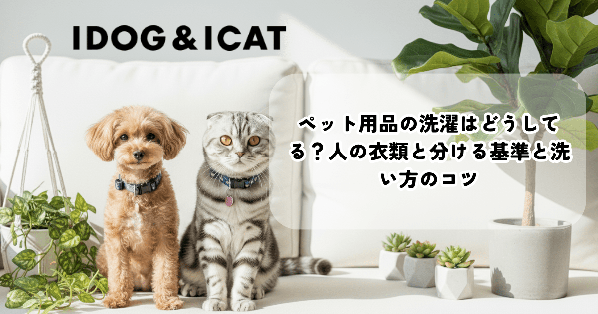 ペット用品の洗濯を解説する記事の表紙