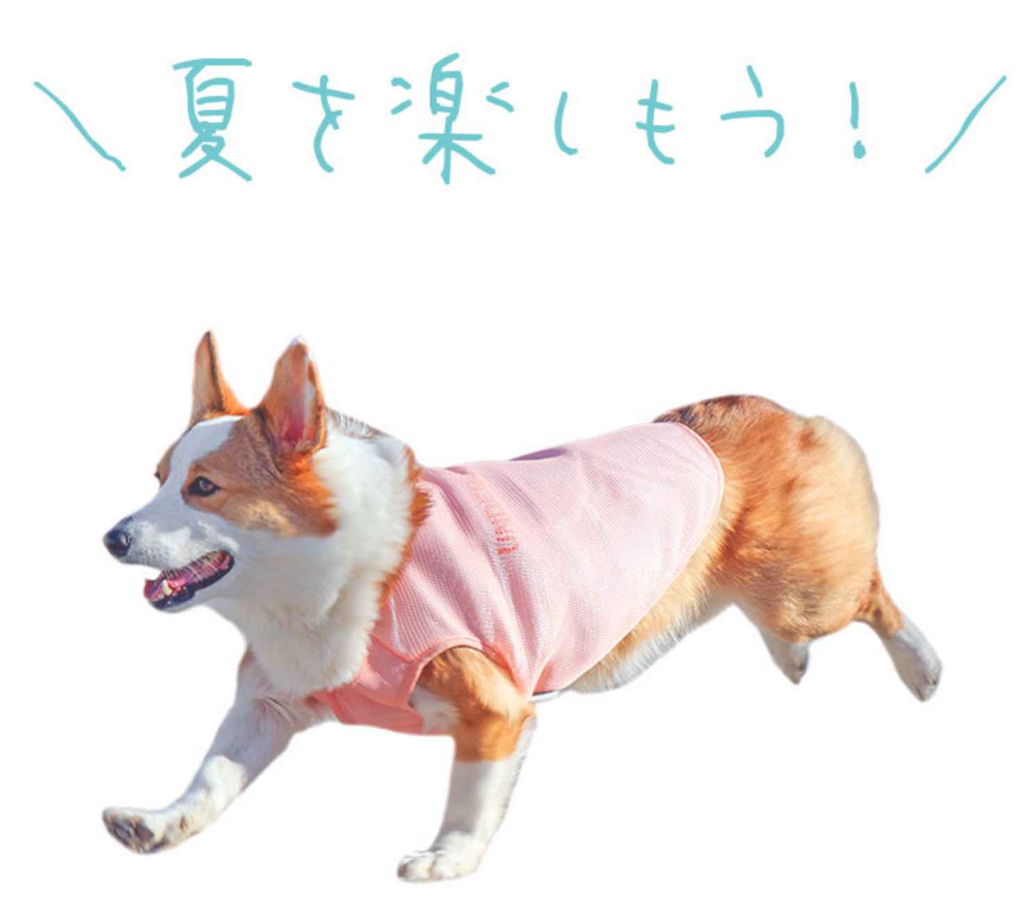 夏を楽しもう