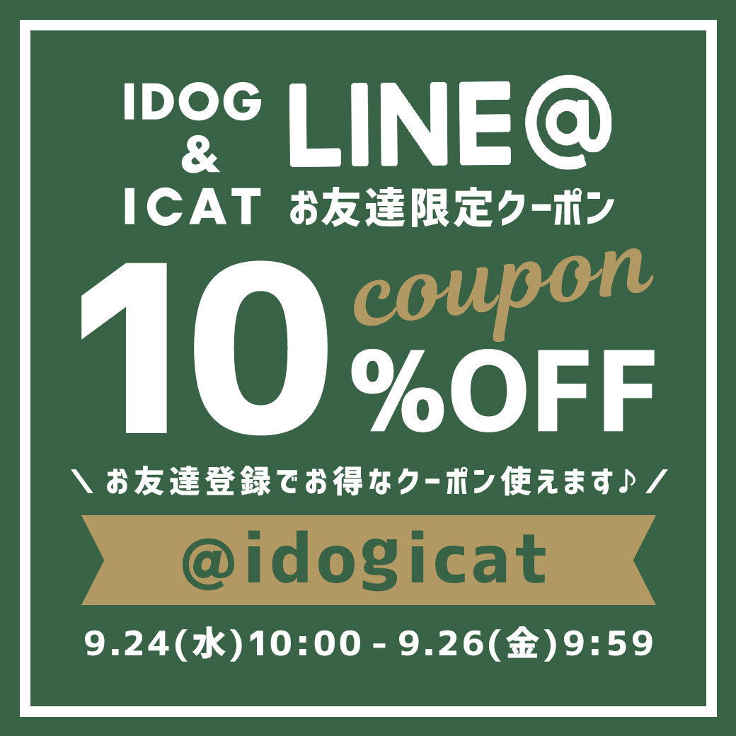 LINEお友達クーポン10%OFF