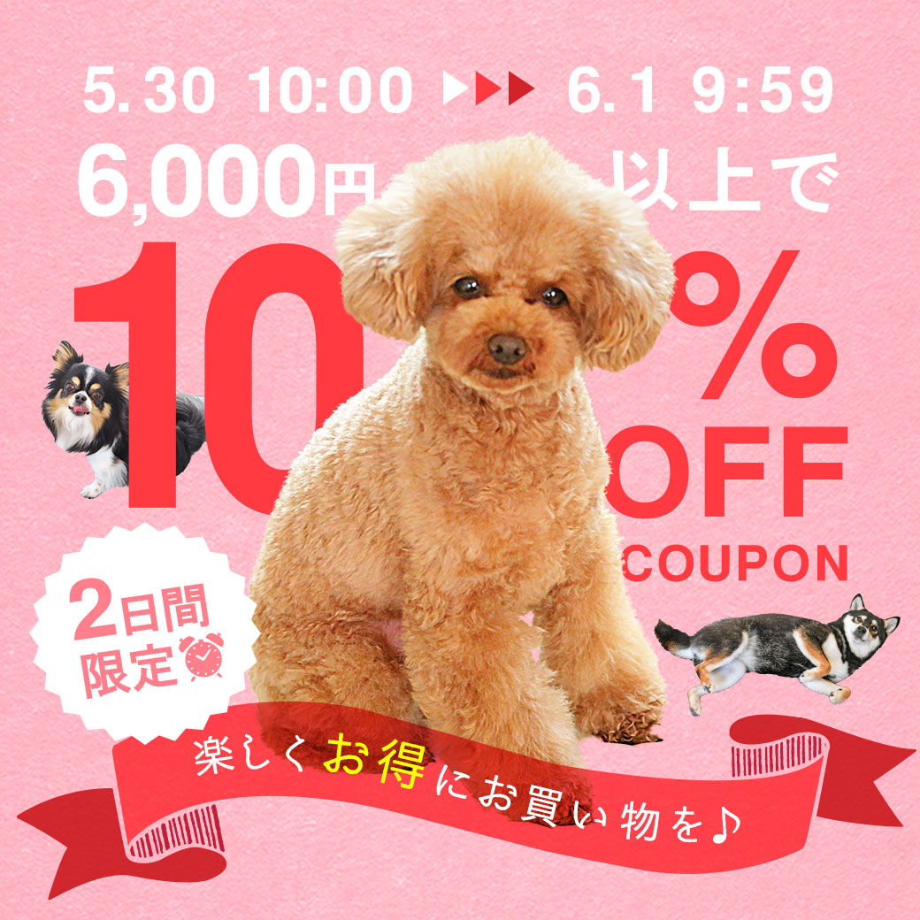 2日間限定!!10%OFFクーポン