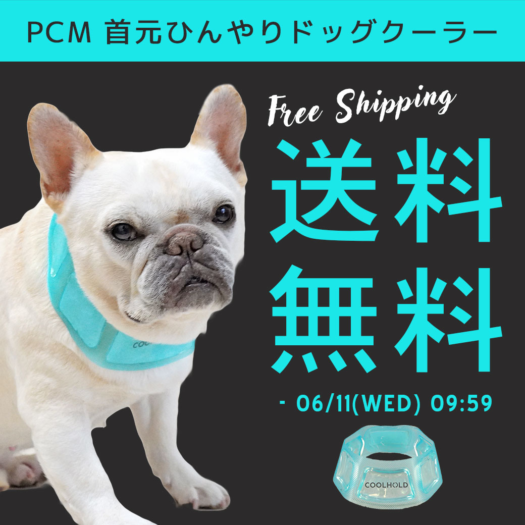 PCM 送料無料 ～6/11 9:59まで