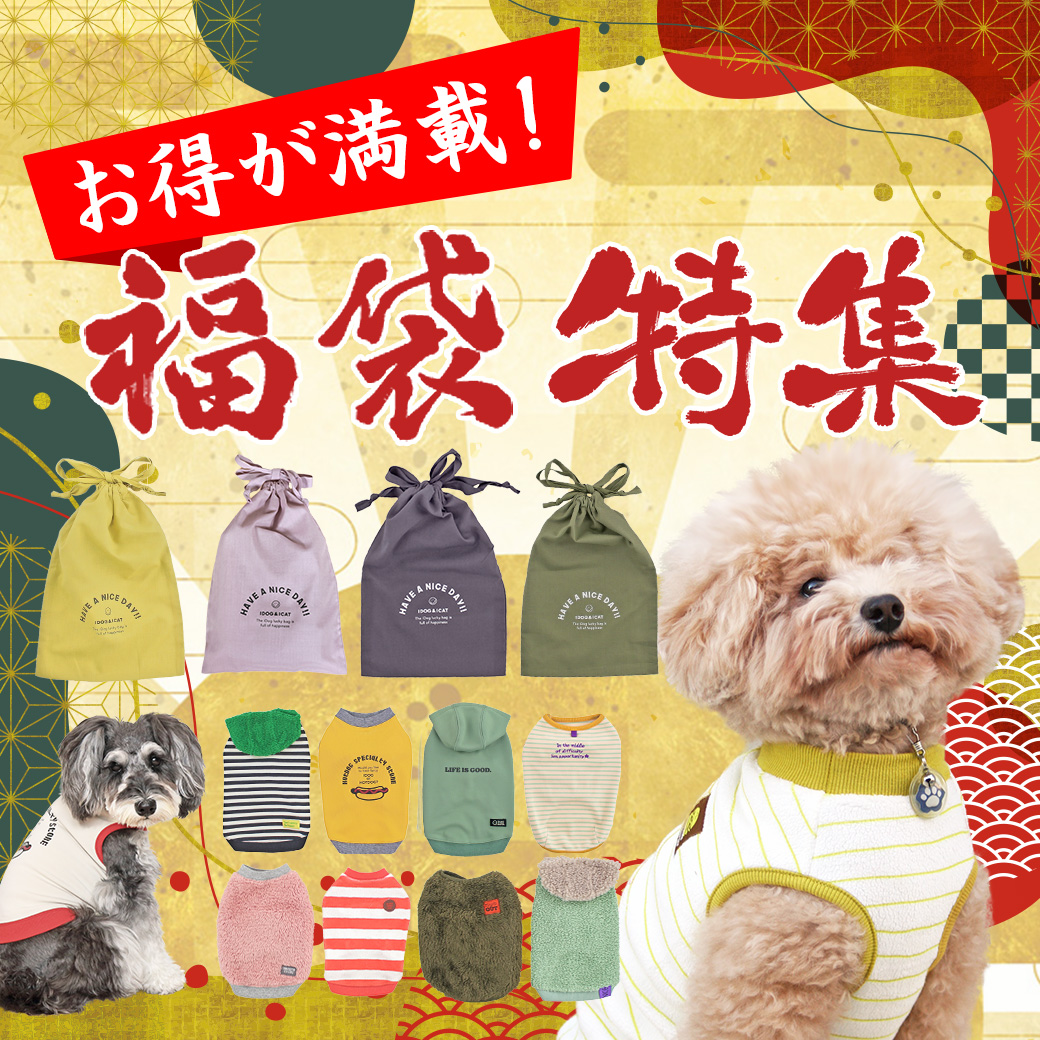 福袋特集