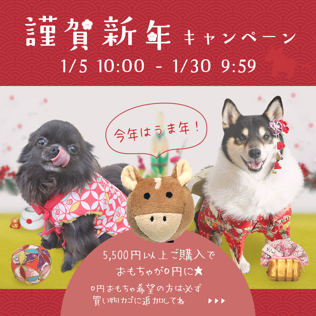 馬ボールプレゼント