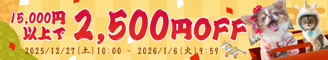 15,000円以上のお買い物で2,500円OFFクーポン