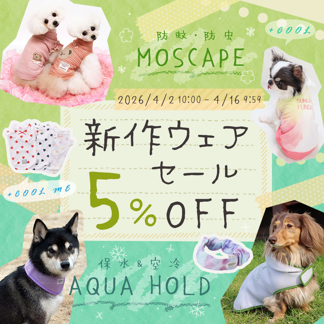 新作ウェア5%OFFセール