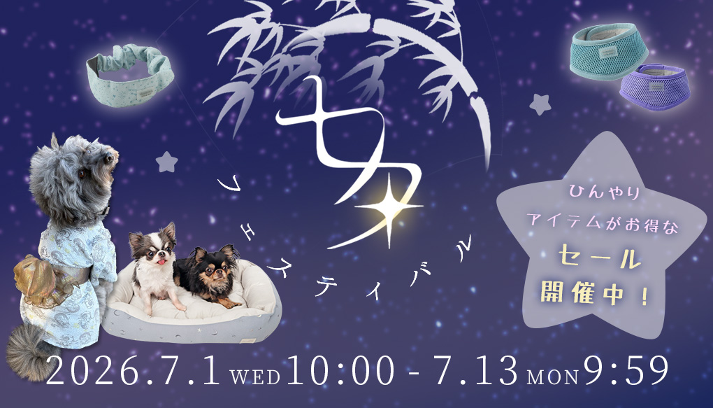 期間限定★七夕フェスティバル