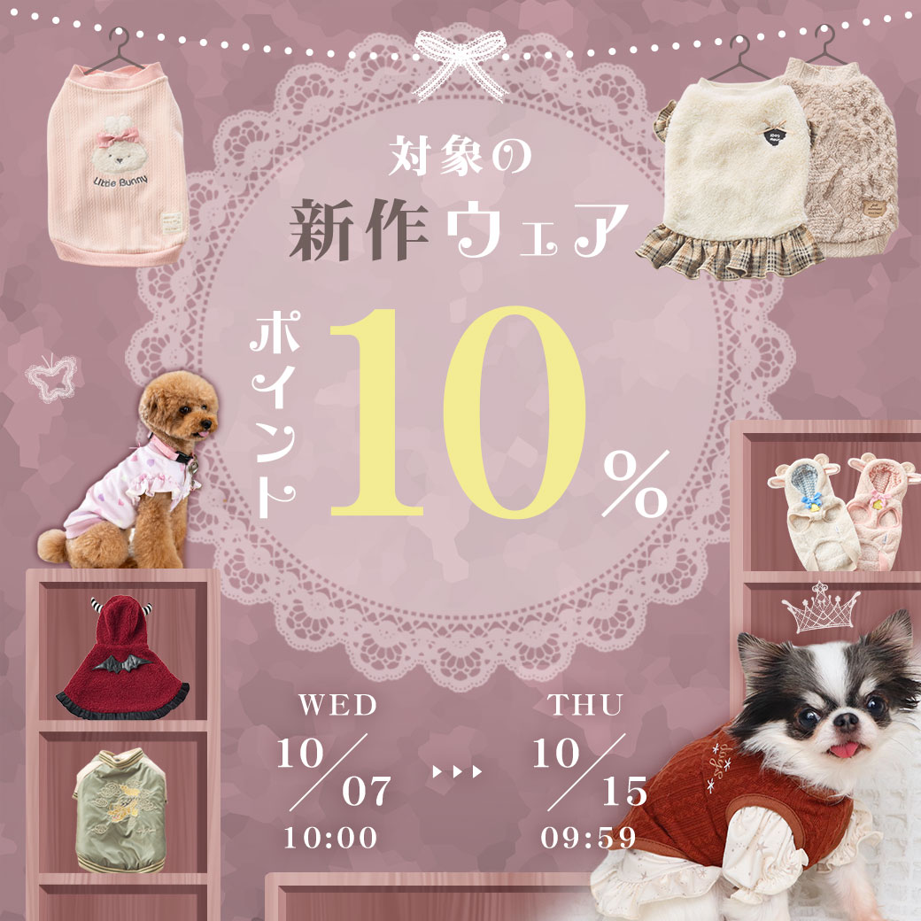 新作ウェアP10％還元