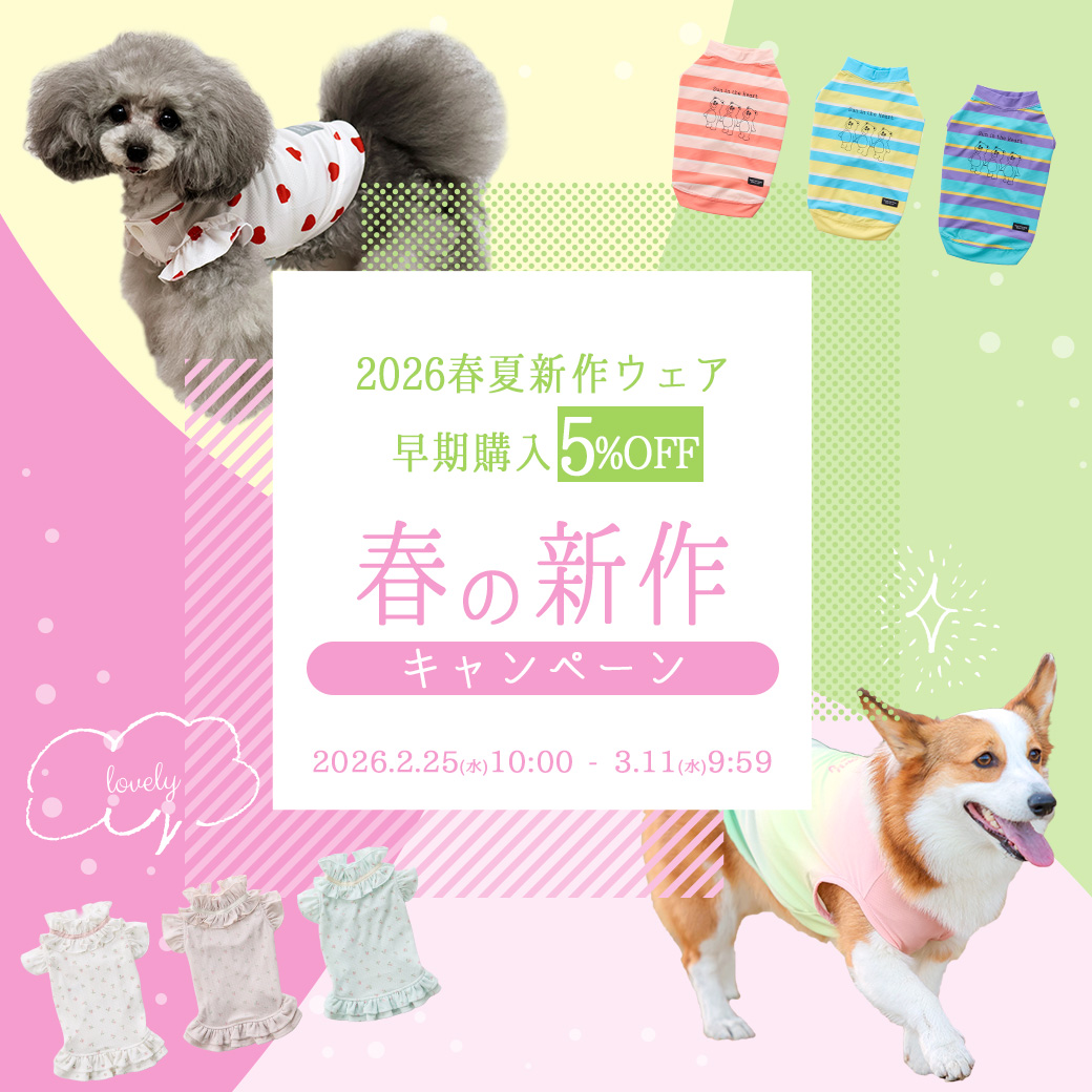 春の新作キャンペーン