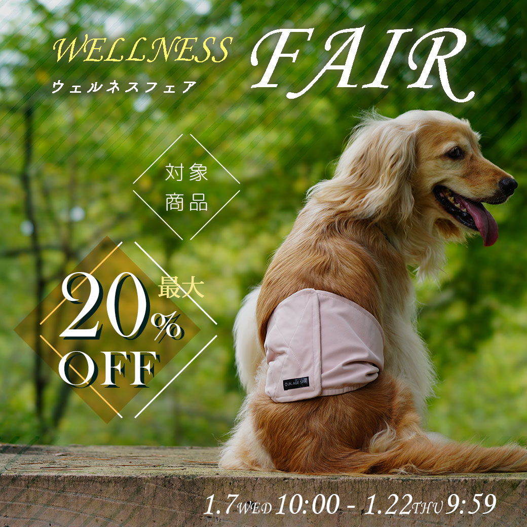 ウェルネスフェア