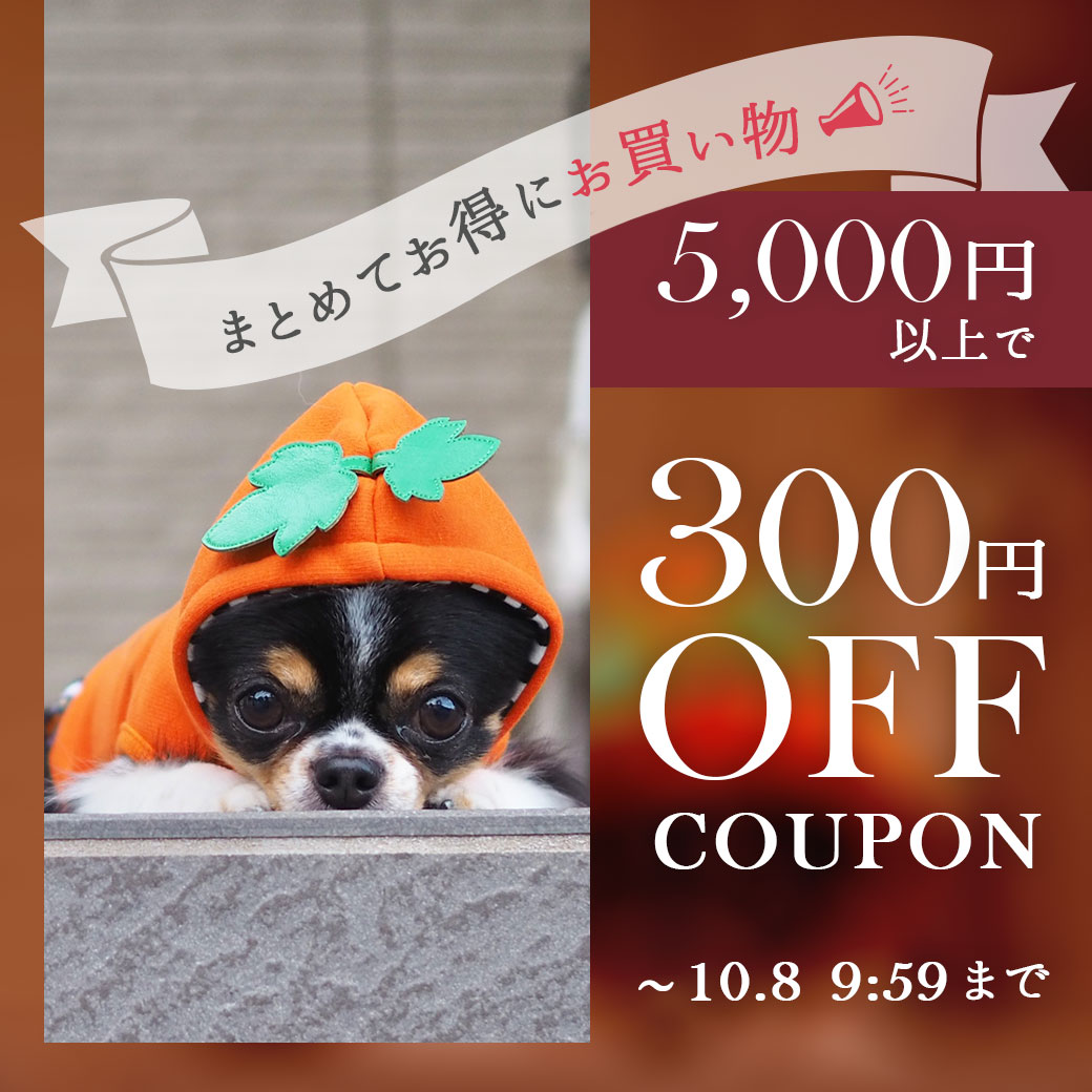 5000円以上ご購入で300円OFFクーポン