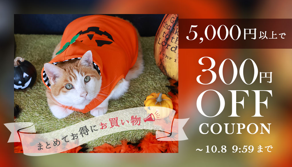 5,000円以上ご購入で300円OFFクーポン