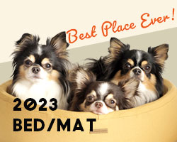 IDOG&ICATベッド・マット