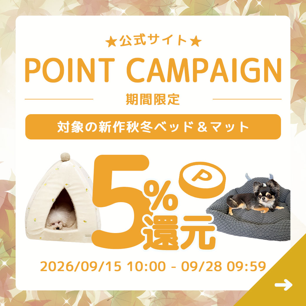 新作ベッド・マットP5％還元