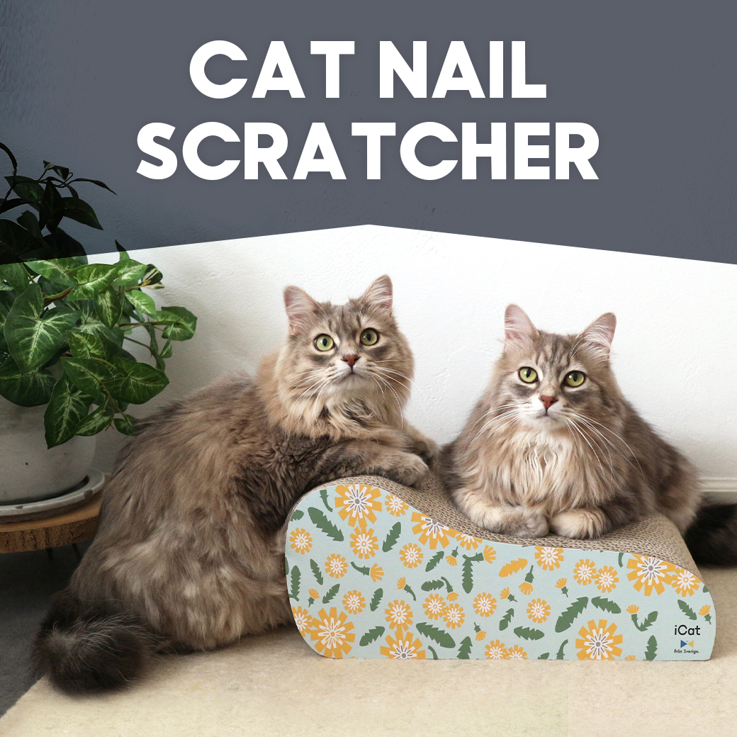 CAT NAIL SCRATCHER