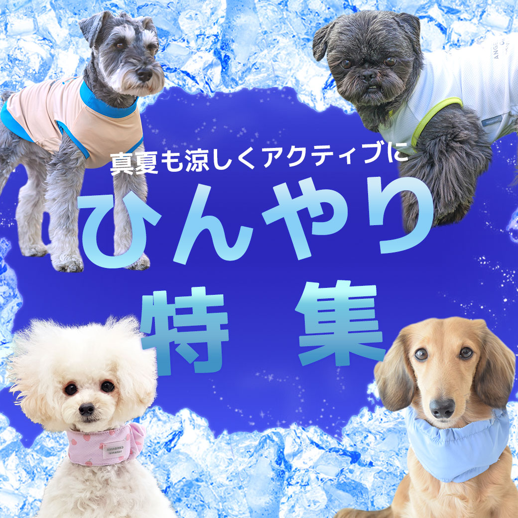 ひんやり特集