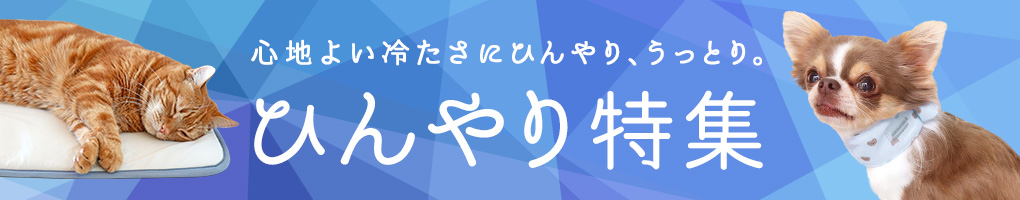 ひんやり特集