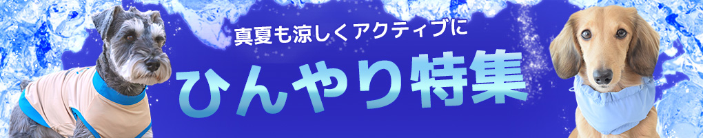 ひんやり特集