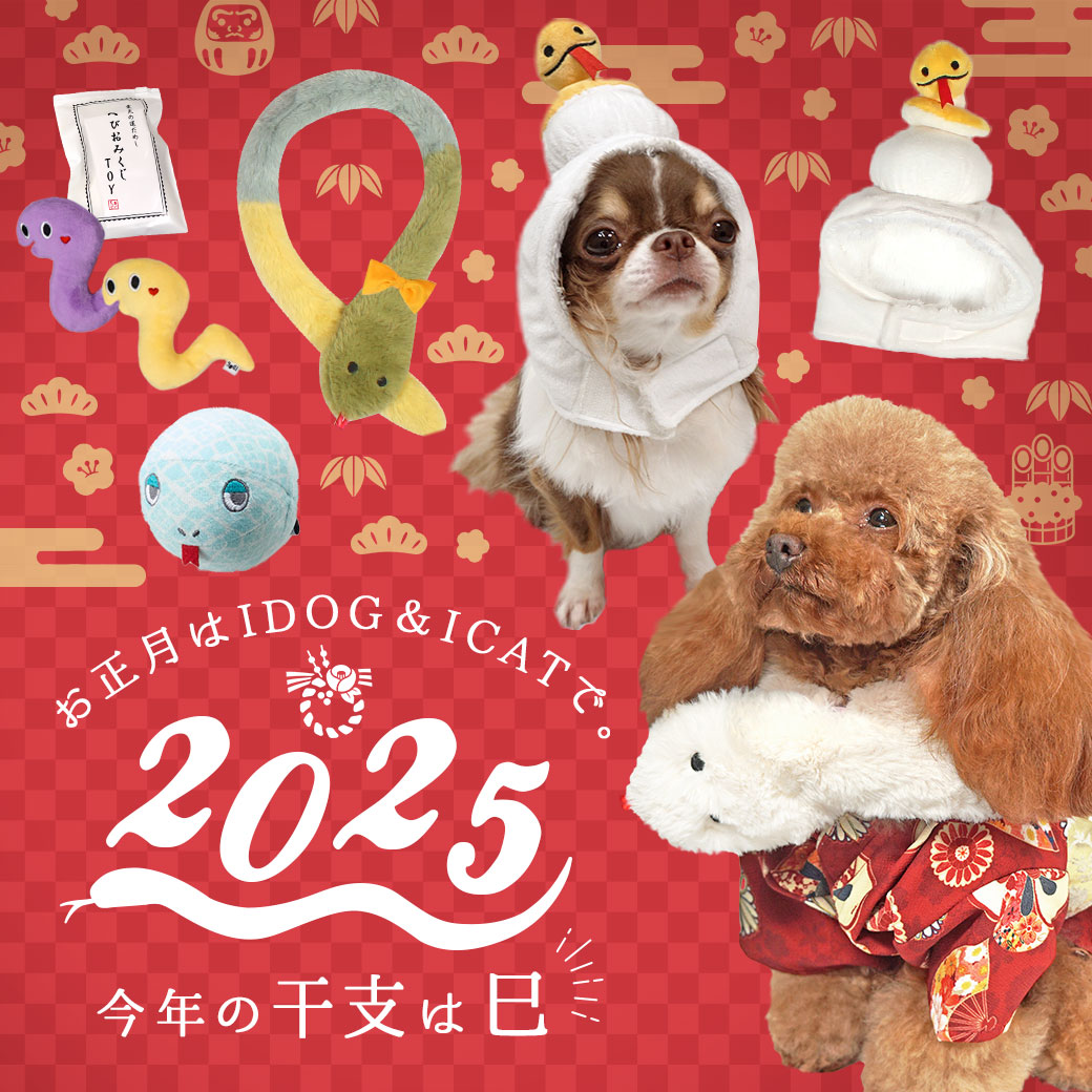 イベントウェア