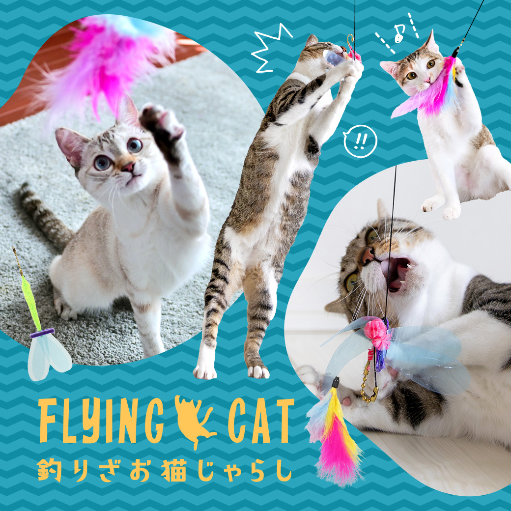 FLYING CAT