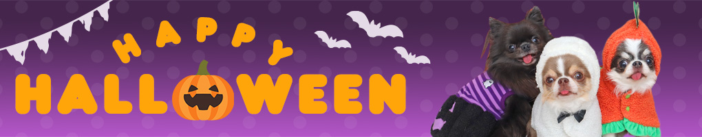 ハロウィン特集
