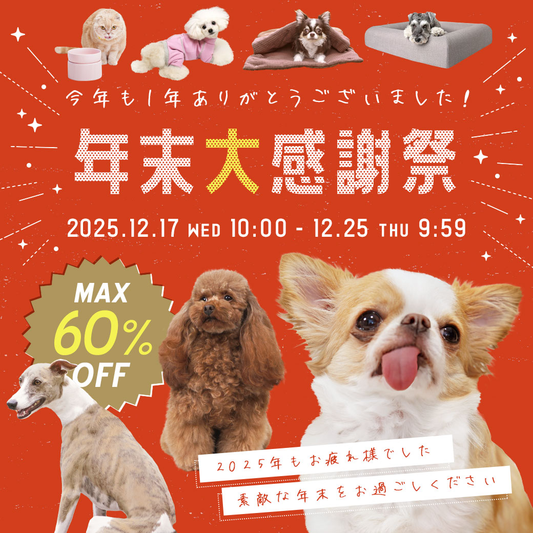 クリスマスセール