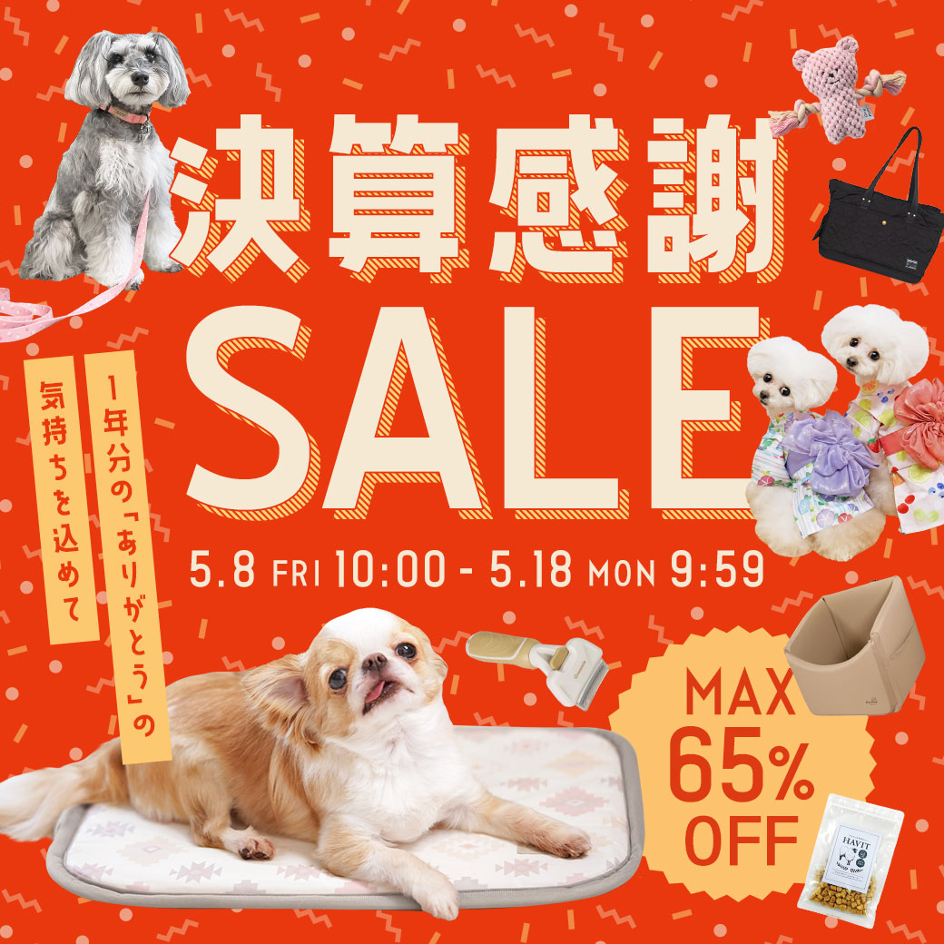 決算感謝セール