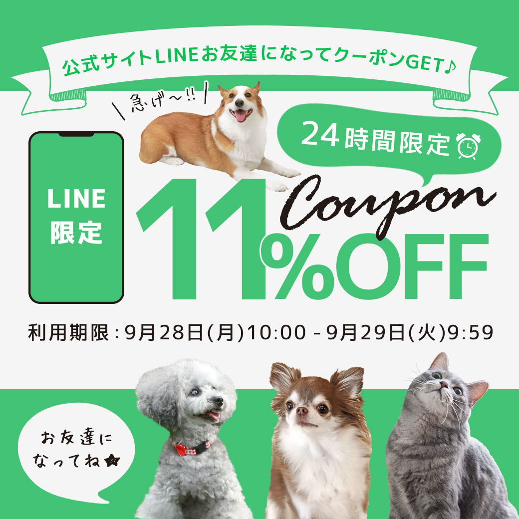 LINEお友達11％(24時間限定)