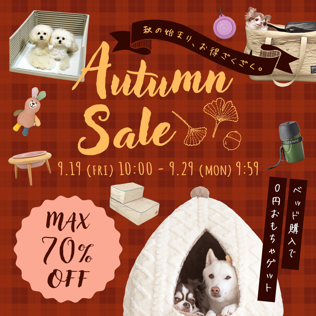最大60%OFF★ワンダフルセール