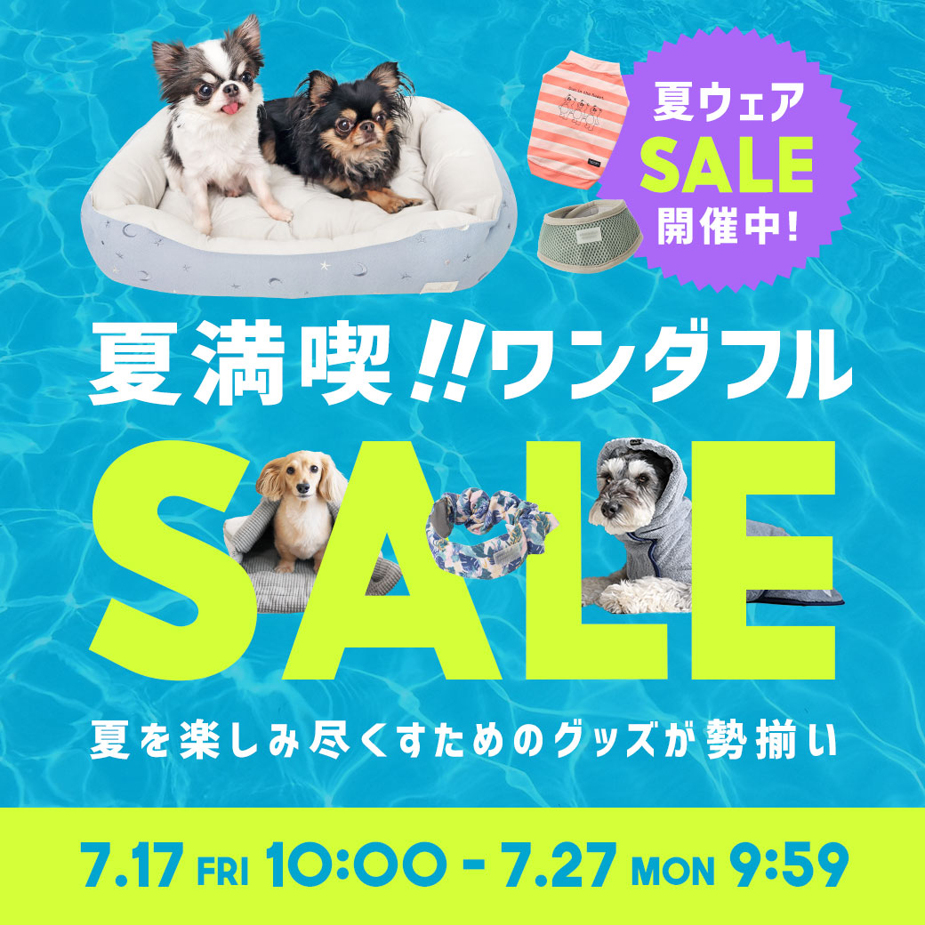 夏満喫★ワンダフルセール