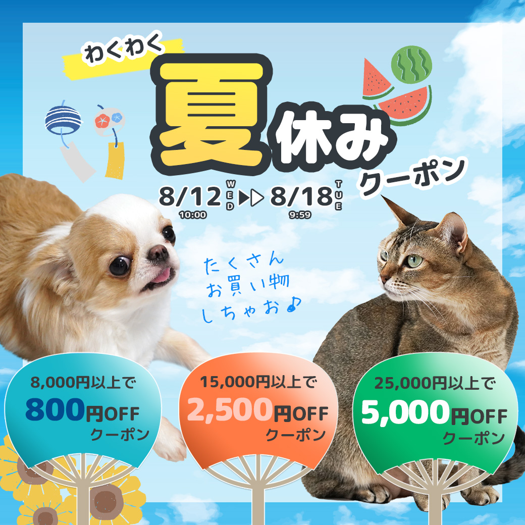 最大5,000円OFF!! 夏休みクーポン