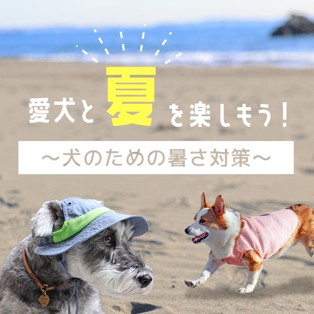 夏のお出かけ特集