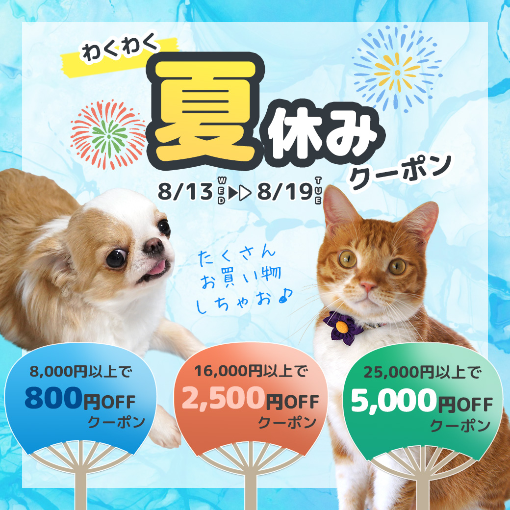 最大5,000円OFF!! 夏休みクーポン