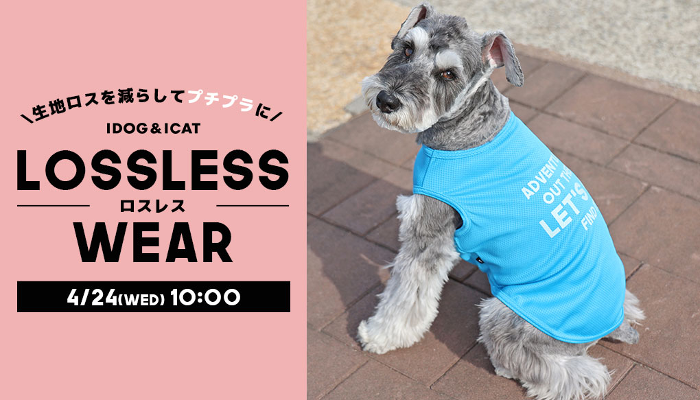 犬の服IDOG&ICATのプチプラドッグウェアが1,000円＋税～