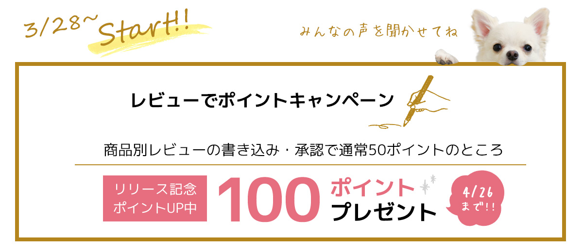 レビューでポイントキャンペーン