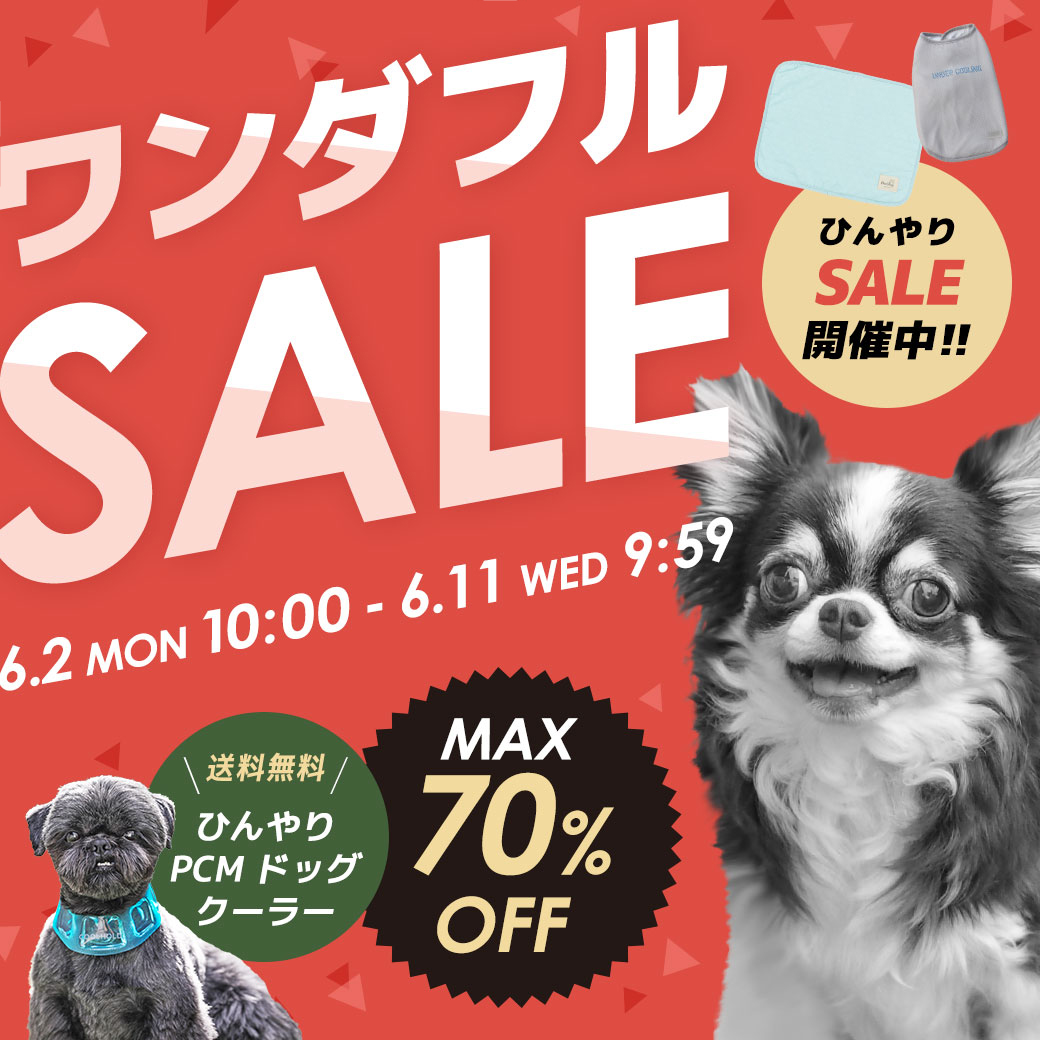 最大60%OFF★ワンダフルセール