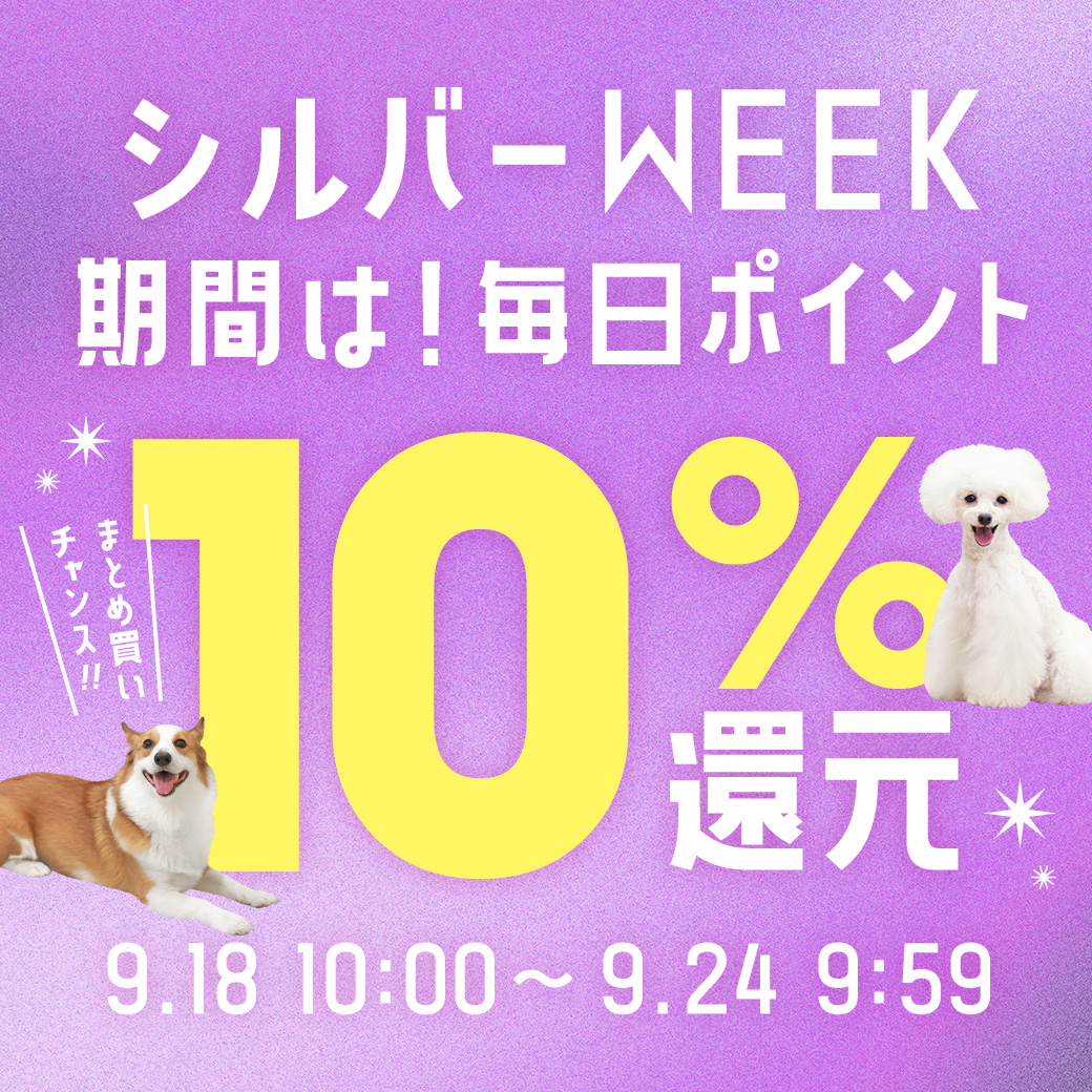 期間限定ポイント10％還元