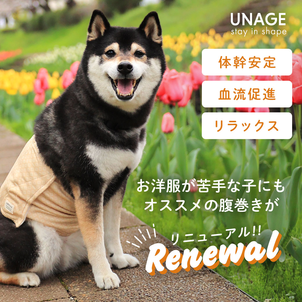 ウェルネスウェア