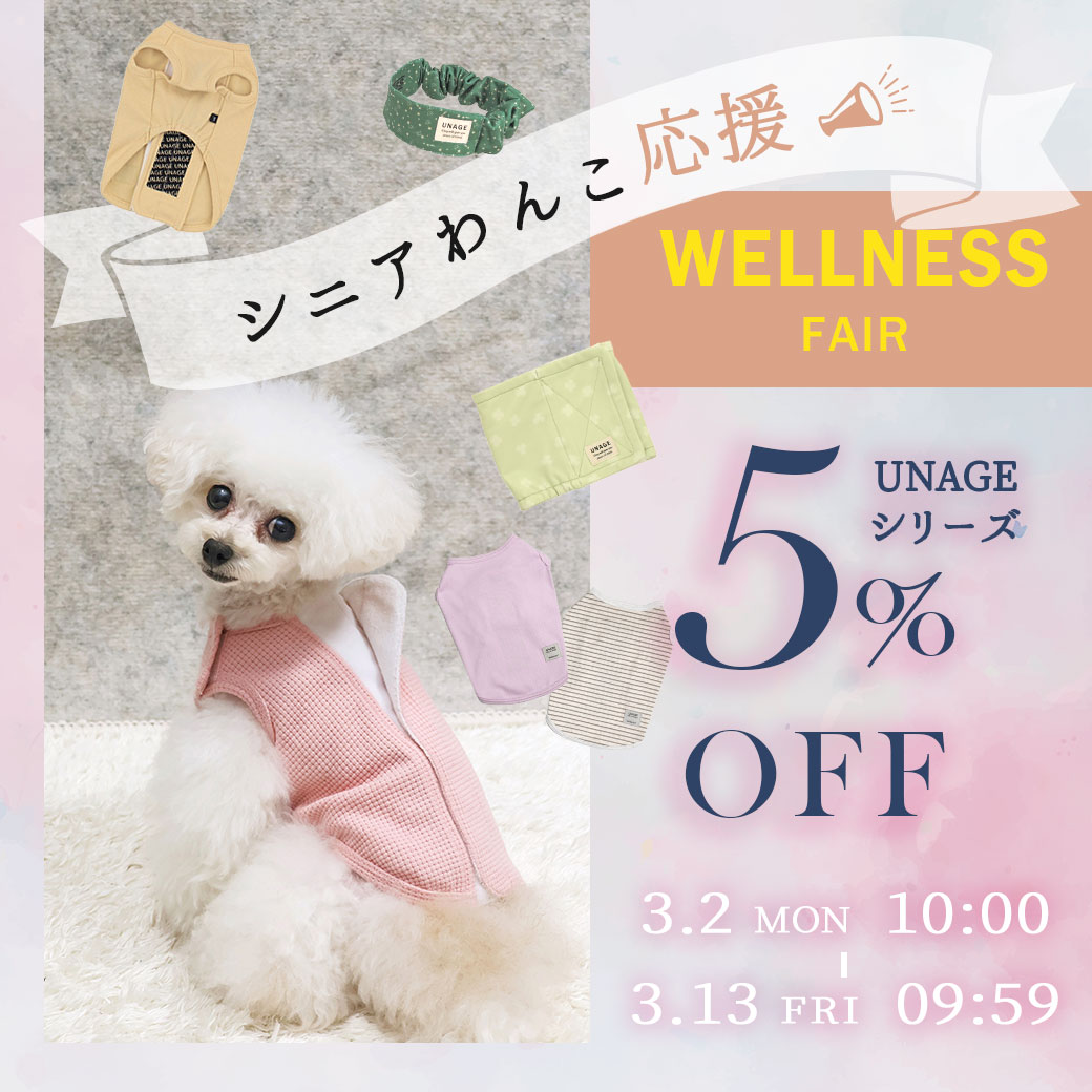 ウェルネスフェア