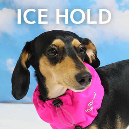 ICE HOLD