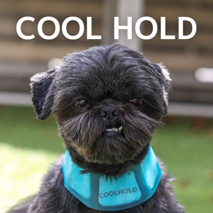 COOL HOLD