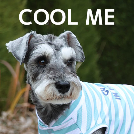 COOL ME