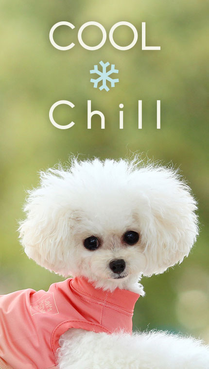 COOL CHILL