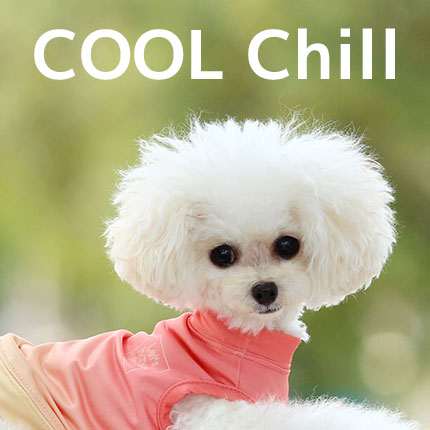 COOL CHILL