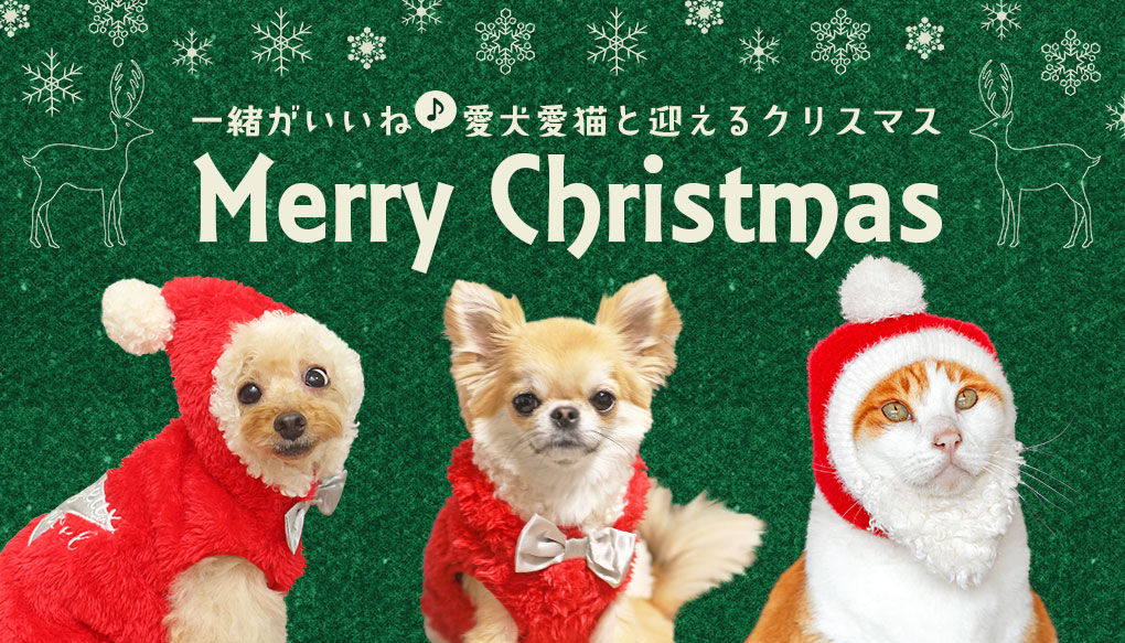 季節のイベントウェア