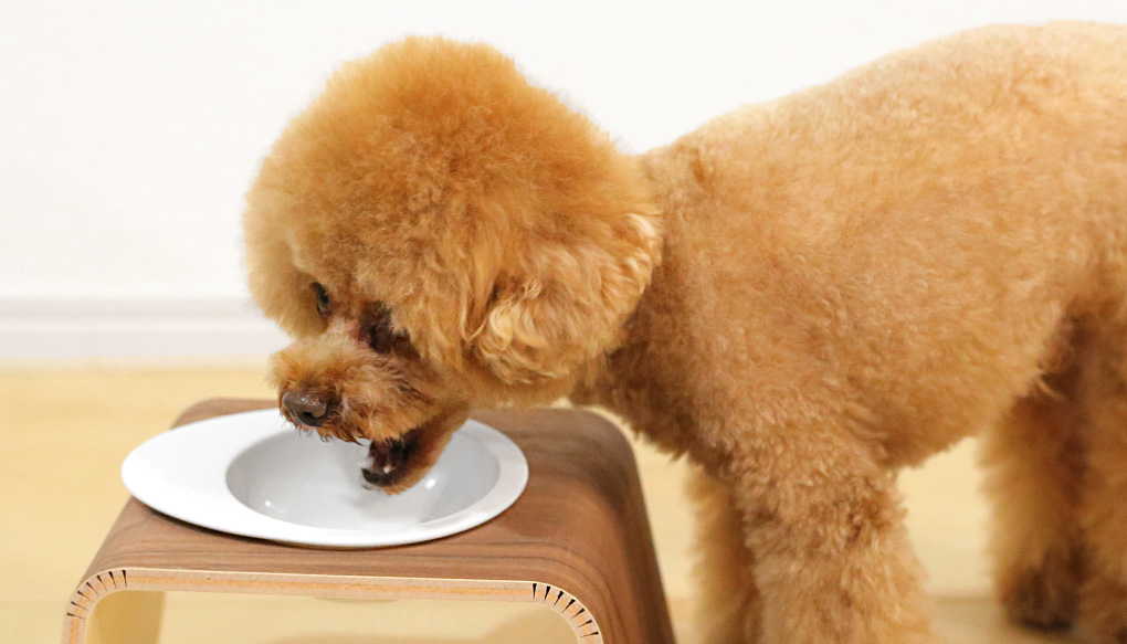 犬猫のシンプルでお洒落な木製フードボウルスタンド｜キートKEAT