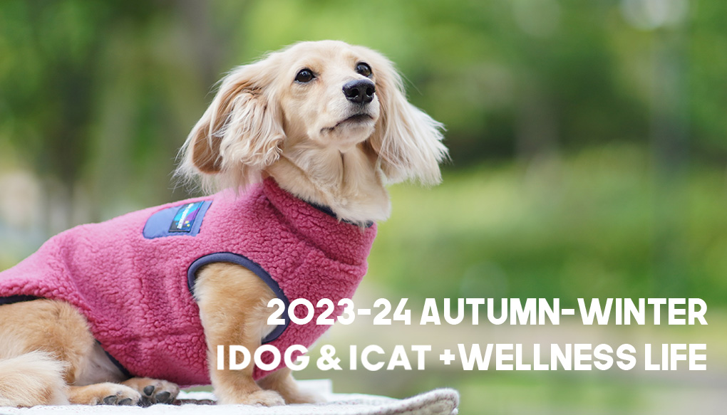 idogicat2023spring-summer concept