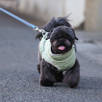 iDogコンセプト｜SHIELD COAT