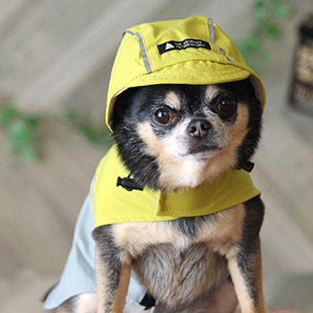 iDogコンセプト｜SHIELD COAT